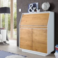 Secrétaire Boge -Wenko Soldes Boutique 1000027423 180711 09305850 MOOD GALLERYIMAGES P000000001000027423 mood