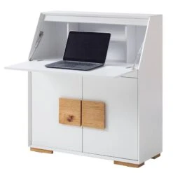 Secrétaire Deanes -Wenko Soldes Boutique 1000170727 200925 11015900019 DETAILS P000000001000170727