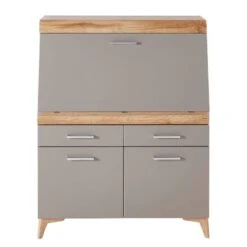 Secrétaire Latille -Wenko Soldes Boutique 1000245014 210504 06313100180 DETAILS P000000001000245014