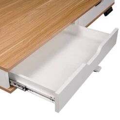 Bureau Lomma -Wenko Soldes Boutique 1000310906 220831 042 DETAILS P000000001000310906