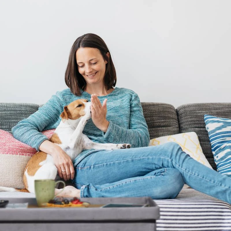 Banquette De Rangement En Velours 14 Banquette De Rangement En Velours – Image 14