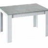 Table A Manger Extensible KENDRA - Recta -Wenko Soldes Boutique 87be14d5d01f4bca8b2cd7822a767402.cropped 101 105 698 541.processed