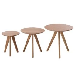 Table D’appoint Past II (3 éléments) -Wenko Soldes Boutique beistelltisch set past past ii 3 teilig eiche teilmassiv 4759556