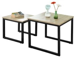 Lot De 2 Tables Basses Gigognes FBT42-HG 17 Lot De 2 Tables Basses Gigognes FBT42-HG -Wenko Soldes Boutique c1fbd790c89c482481f6b2c66282beec.cropped 11 241 1564 1206.processed