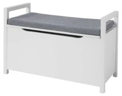 Banc à Rangement Coffre à Jouets FSR76-W