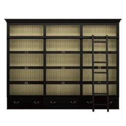 Étagères Azjana 16 Étagères Azjana -Wenko Soldes Boutique regalwand azjana pinie teilmassiv schwarz pinie creme mit leiter 3391269